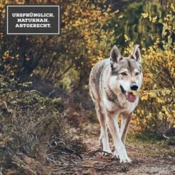 MOON Ranger Rind Mit Süßkartoffeln -Hund Sache Getchaft 3 Ursprunglich Naturnah ArtgerechtGjby2sHCCRKD3