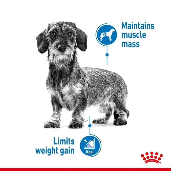 ROYAL CANIN LIGHT WEIGHT CARE MINI Trockenfutter Für Zu Übergewicht Neigenden Hunden 4 ROYAL CANIN LIGHT WEIGHT CARE MINI Trockenfutter Für Zu Übergewicht Neigenden Hunden – Bild 2