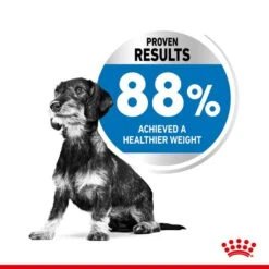 ROYAL CANIN LIGHT WEIGHT CARE MINI Trockenfutter Für Zu Übergewicht Neigenden Hunden 12 ROYAL CANIN LIGHT WEIGHT CARE MINI Trockenfutter Für Zu Übergewicht Neigenden Hunden -Hund Sache Getchaft 3182550716918 35f5612f0e4623