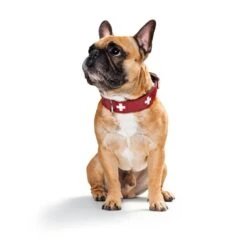 Hunter Halsband Swiss Nickel Rot/Schwarz -Hund Sache Getchaft 41744 hunter halsband swiss nickel rot schwarz 00