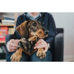 Hunter Halsband Swiss Nickel Braun/Schwarz -Hund Sache Getchaft 41751 hunter halsband swiss nickel braun schwarz 00