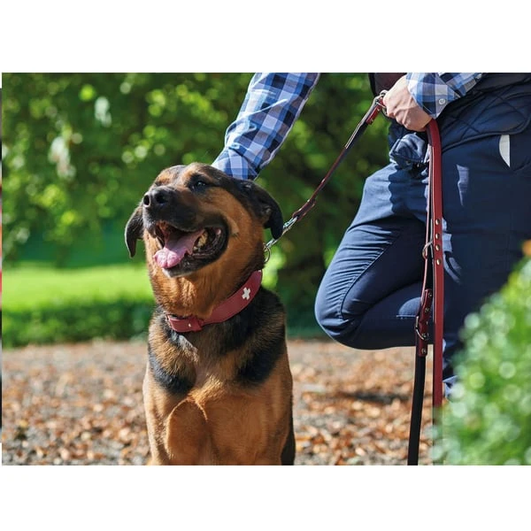 Hunter Verstellbare Führleine Swiss Rot/Schwarz 4 Hunter Verstellbare Führleine Swiss Rot/Schwarz – Bild 2