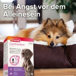 Beaphar CaniComfort® Wohlfühl-Spray 60ml 9 Beaphar CaniComfort® Wohlfühl-Spray 60ml -Hund Sache Getchaft CaniComfort Starter Kit25da5907546a68