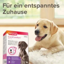 Beaphar CaniComfort® Wohlfühl-Spray 60ml 10 Beaphar CaniComfort® Wohlfühl-Spray 60ml -Hund Sache Getchaft CaniComfort Starter Kit35da59077278e5