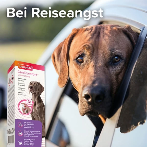 Beaphar CaniComfort® Wohlfühl-Spray 60ml 3 Beaphar CaniComfort® Wohlfühl-Spray 60ml – Bild 2