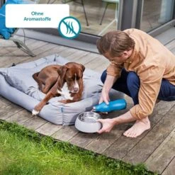 ZooRoyal Saftige Pastete Mit Rind & Leber -Hund Sache Getchaft Hund 10 Aromastoffe60d9bd4fcdb7e