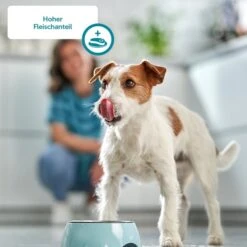 ZooRoyal Saftige Pastete Mit Rind & Leber -Hund Sache Getchaft Hund 5a hoher Fleischanteil60d9bd4aa7661