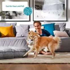 ZooRoyal Saftige Pastete Mit Rind & Leber -Hund Sache Getchaft Hund 6 Fell