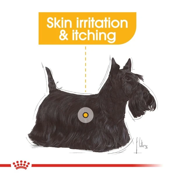 ROYAL CANIN DERMACOMFORT MINI Trockenfutter Für Kleine Hunde Mit Empfindlicher Haut 4 ROYAL CANIN DERMACOMFORT MINI Trockenfutter Für Kleine Hunde Mit Empfindlicher Haut – Bild 2