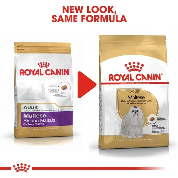 ROYAL CANIN Maltese Adult Hundefutter Trocken 7 ROYAL CANIN Maltese Adult Hundefutter Trocken – Bild 5
