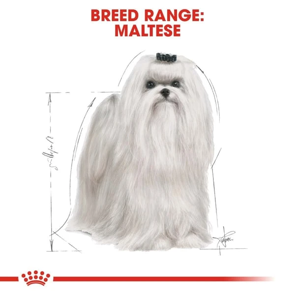 ROYAL CANIN Maltese Adult Hundefutter Trocken 8 ROYAL CANIN Maltese Adult Hundefutter Trocken – Bild 6