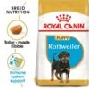 ROYAL CANIN Rottweiler Puppy Welpenfutter Trocken