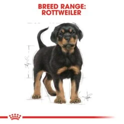 ROYAL CANIN Rottweiler Puppy Welpenfutter Trocken -Hund Sache Getchaft RoyalCanin Hundefutter Rottweiler Puppy 7