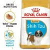 ROYAL CANIN Shih Tzu Puppy Welpenfutter Trocken -Hund Sache Getchaft RoyalCanin Hundefutter ShihTzu Puppy 1