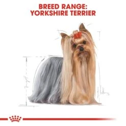 ROYAL CANIN BHN Yorkshire Terrier Adult -Hund Sache Getchaft RoyalCanin Hundefutter YorkshireTerrier 5