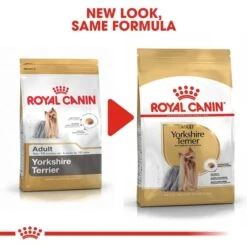 ROYAL CANIN BHN Yorkshire Terrier Adult -Hund Sache Getchaft RoyalCanin Hundefutter YorkshireTerrier 6