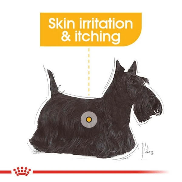 ROYAL CANIN DERMACOMFORT Nassfutter Für Hunde Mit Empfindlicher Haut 12x85g 4 ROYAL CANIN DERMACOMFORT Nassfutter Für Hunde Mit Empfindlicher Haut 12x85g – Bild 2
