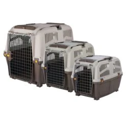 Trixie Friends On Tour Transportbox Skudo Taupe/sand -Hund Sache Getchaft TRANSPORTBOX