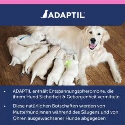 Adaptil Junior Halsband -Hund Sache Getchaft adaptil junior halsband 10