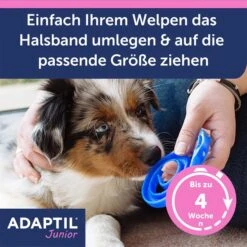Adaptil Junior Halsband -Hund Sache Getchaft adaptil junior halsband 4