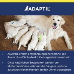 Adaptil Transportspray -Hund Sache Getchaft adaptil transportspray 8