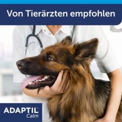 Adaptil Verdampfer 1 Monats-Nachfüllflakon 48ml 19 Adaptil Verdampfer 1 Monats-Nachfüllflakon 48ml -Hund Sache Getchaft adaptil verdampfer 1 monats nachfullflakon 48ml 8