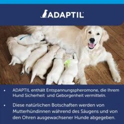 Adaptil Verdampfer 1 Monats-Nachfüllflakon 48ml 20 Adaptil Verdampfer 1 Monats-Nachfüllflakon 48ml -Hund Sache Getchaft adaptil verdampfer 1 monats nachfullflakon 48ml 9