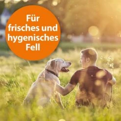 ARDAP Anti-Floh Shampoo Für Hunde 3x250ml -Hund Sache Getchaft ardap anti floh shampoo fur hunde 250ml 326DAv57u4lkrB