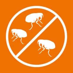 ARDAP Anti-Floh Shampoo Für Hunde 3x250ml -Hund Sache Getchaft ardap anti floh shampoo fur hunde 250ml 5JRkSnu8m20PQr