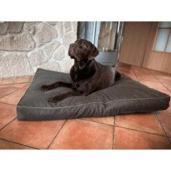 Aumüller Hundebett Basic Rechteckig 117 Cm -Hund Sache Getchaft aumueller hundebett basic rechteckig web 49nGcfHBTubha8
