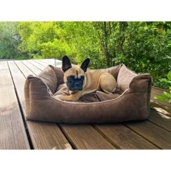 Aumüller Hundebett Sofa Ortho Line 117 Cm -Hund Sache Getchaft aumueller hundebett bed sofa ortho line braun web 4yO0Pypt22fbik