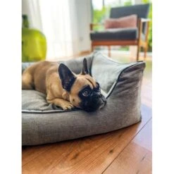 Aumüller Hundebett Sofa Ortho Line 100 Cm 12 Aumüller Hundebett Sofa Ortho Line 100 Cm -Hund Sache Getchaft aumueller hundebett bed sofa ortho line grau web 6