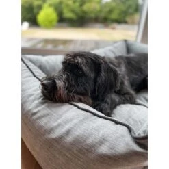 Aumüller Hundebett Sofa Ortho Line 117 Cm -Hund Sache Getchaft aumueller hundebett bed sofa ortho line grau web 9CIUafFW6eiPMr