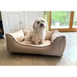 Aumüller Hundebett Sofa Basic 80 Cm -Hund Sache Getchaft aumueller hundebett sofa basic beige web 3