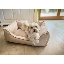 Aumüller Hundebett Sofa Basic 117 Cm -Hund Sache Getchaft aumueller hundebett sofa basic beige web 4VebHcfIuf18z2