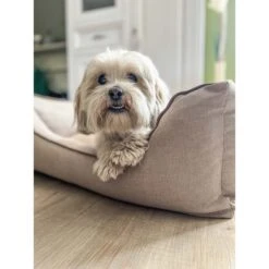 Aumüller Hundebett Sofa Basic 100 Cm 12 Aumüller Hundebett Sofa Basic 100 Cm -Hund Sache Getchaft aumueller hundebett sofa basic beige web 5