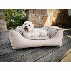 Aumüller Hundebett Sofa Basic 100 Cm 13 Aumüller Hundebett Sofa Basic 100 Cm -Hund Sache Getchaft aumueller hundebett sofa basic beige web 7DGaxxP0K5ie8S