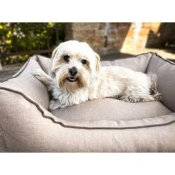 Aumüller Hundebett Sofa Basic 117 Cm -Hund Sache Getchaft aumueller hundebett sofa basic beige web 8