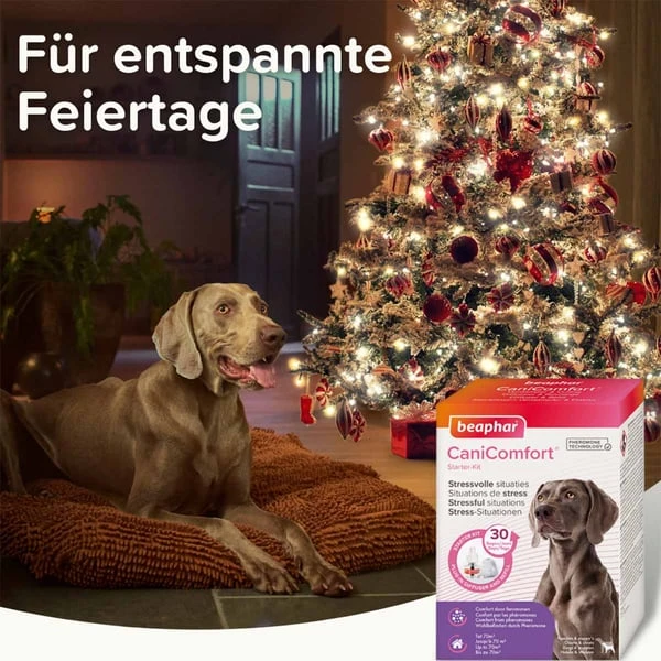 Beaphar CaniComfort® Starter-Kit Für Hunde 8 Beaphar CaniComfort® Starter-Kit Für Hunde – Bild 6