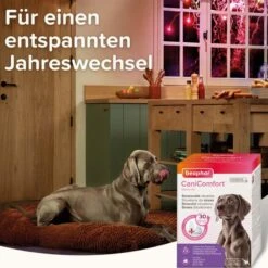 Beaphar CaniComfort® Starter-Kit Für Hunde 17 Beaphar CaniComfort® Starter-Kit Für Hunde -Hund Sache Getchaft beaphar canicomfort starter kit fur hunde 7