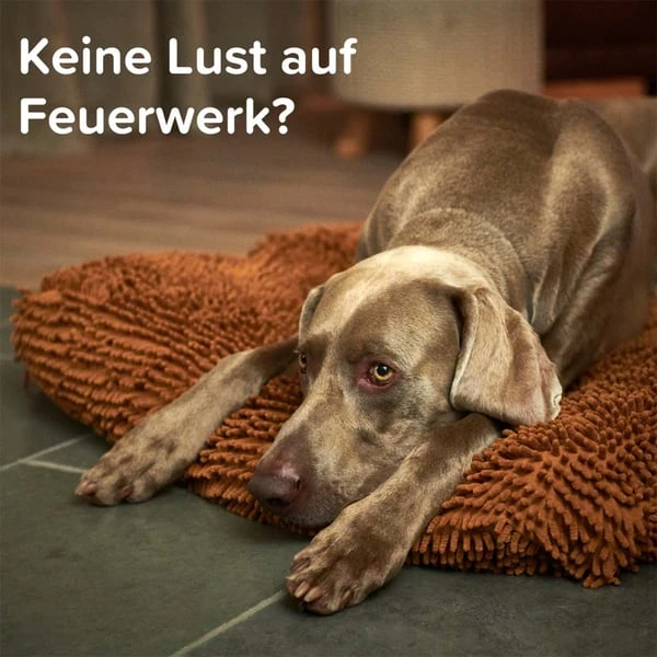 Beaphar CaniComfort® Starter-Kit Für Hunde 11 Beaphar CaniComfort® Starter-Kit Für Hunde – Bild 9