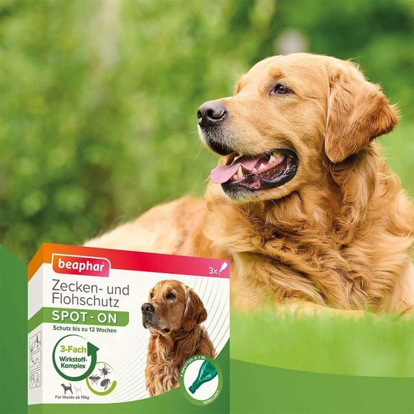 Beaphar Spot On Tropfen Für Große Hunde + Zeckenstift Gratis 7 Beaphar Spot On Tropfen Für Große Hunde + Zeckenstift Gratis – Bild 5