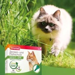 Beaphar Zecken- & Flohschutz SPOT-ON Für Katzen 3er-Pack 11 Beaphar Zecken- & Flohschutz SPOT-ON Für Katzen 3er-Pack -Hund Sache Getchaft beaphar zecken und flohschutz spot on fur katzen 5shOUGvMIXVWZU