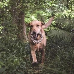 Beco Pets Hundespielzeug Hanf Ring Ø 17 Cm -Hund Sache Getchaft beco pets hundespielzeug hanf ring 1