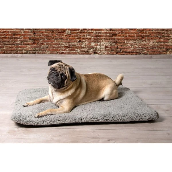 Beeztees Orthopädisches Memory Foam Hundekissen Ito 4 Beeztees Orthopädisches Memory Foam Hundekissen Ito – Bild 2