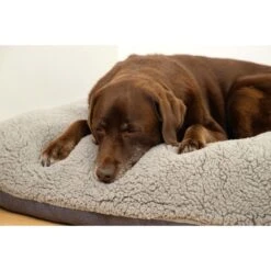 Beeztees Orthopädisches Memory Foam Lounge Hundekissen Ruba 100 X 70 Cm 7 Beeztees Orthopädisches Memory Foam Lounge Hundekissen Ruba 100 X 70 Cm -Hund Sache Getchaft beeztees orthopadisches memory foam lounge hundekissen ruba 3