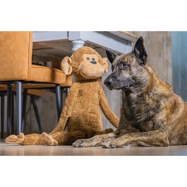 Beeztees XL Hundespielzeug Plüsch Affe Vik Braun 5 Beeztees XL Hundespielzeug Plüsch Affe Vik Braun – Bild 3
