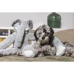 Beeztees XL Hundespielzeug Plüsch Elefant James Grau -Hund Sache Getchaft beeztees xl hundespielzeug plusch elefant james grau 3