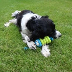 Coockoo Kauspielzeug Larry 9 Coockoo Kauspielzeug Larry -Hund Sache Getchaft coockoo kauspielzeug larry 1