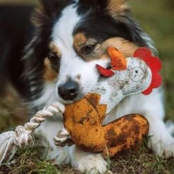 DUVO+ Farm Friends Ruby Rooster 37cm -Hund Sache Getchaft duvoplus farm friends ruby rooster 37cm web 4